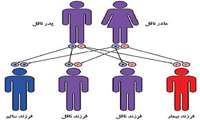 شناسایی20 نوزاد مبتلا به پی کی یو در استان